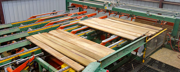TS Sawmill & Lumber Handling